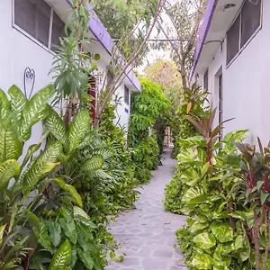 Hotel Aventura, Mérida
